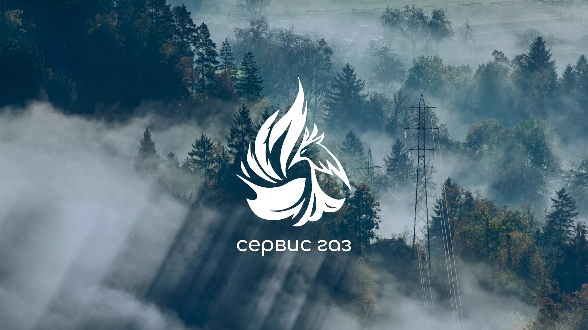 Создание сайта компании «Сервис газ» в Жукове