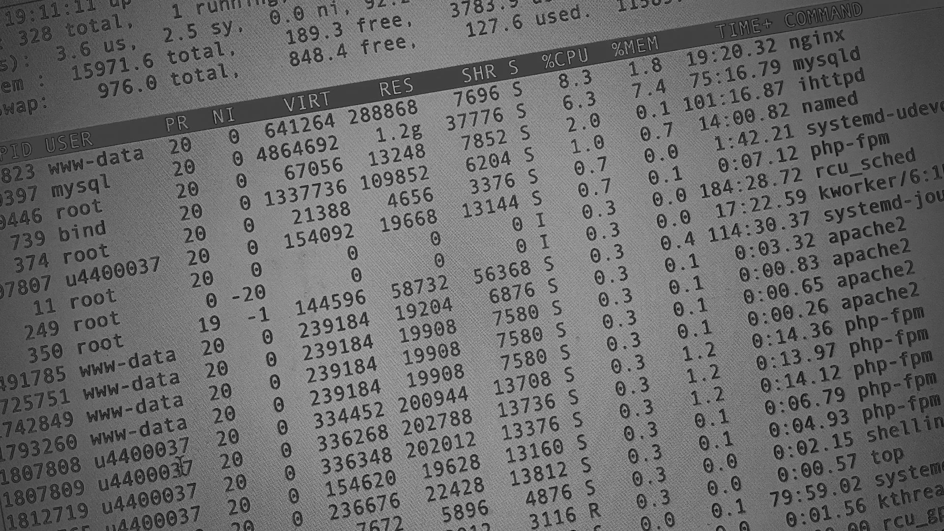 Настройка сервера в Жукове