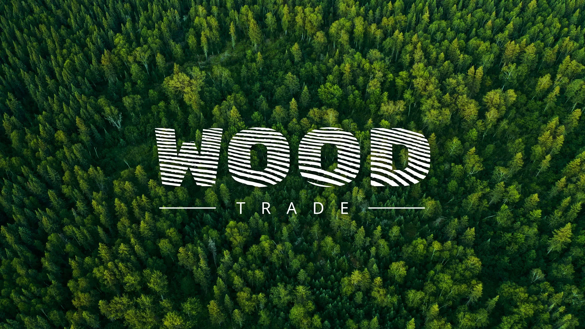 Разработка интернет-магазина компании «Wood Trade» в Жукове