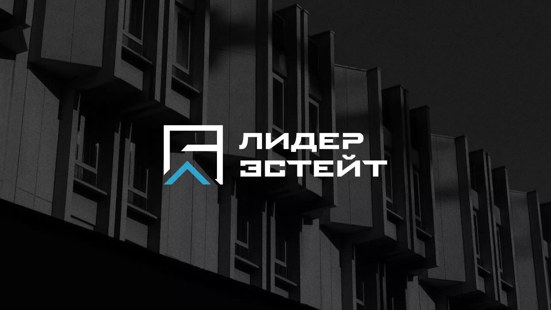 Разработка логотипа агентства недвижимости «Лидер Эстейт» в Жукове